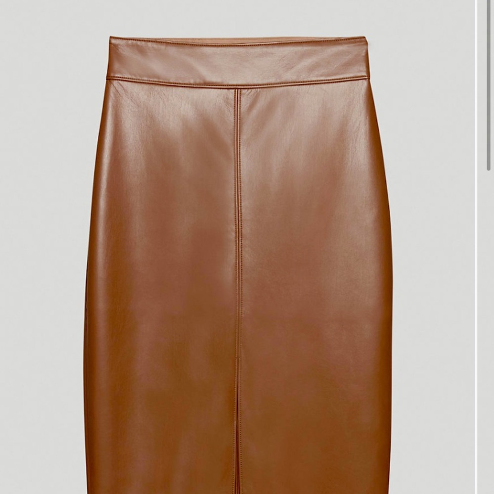 Babaton “Pegu” skirt. Bought NWOT.  Worn once
